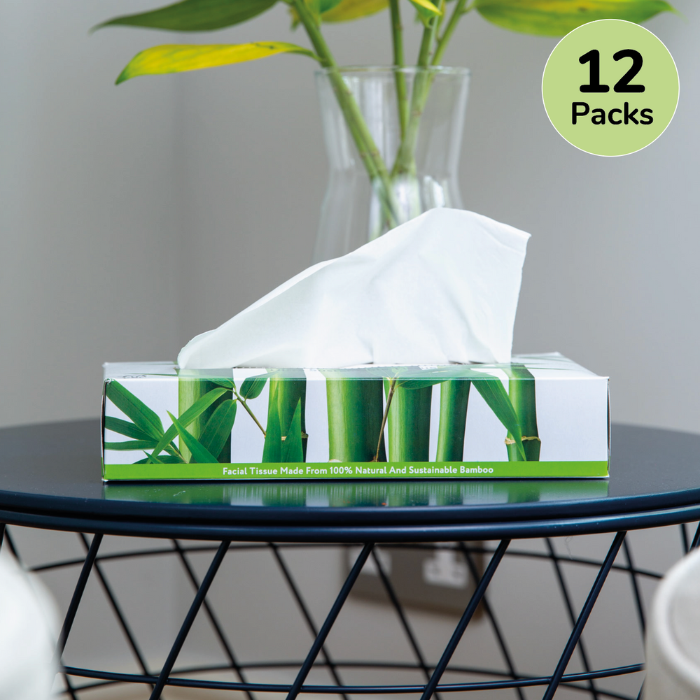 Plastic-Free Bamboo Tissues | 12 Flat Boxes | Eco Friendly