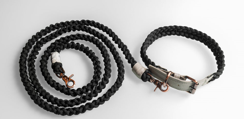 
                  
                    100% Fairtrade Recycled Ocean Bound Plastic Dog Leash by The Better Bone Natural Dog Bone
                  
                