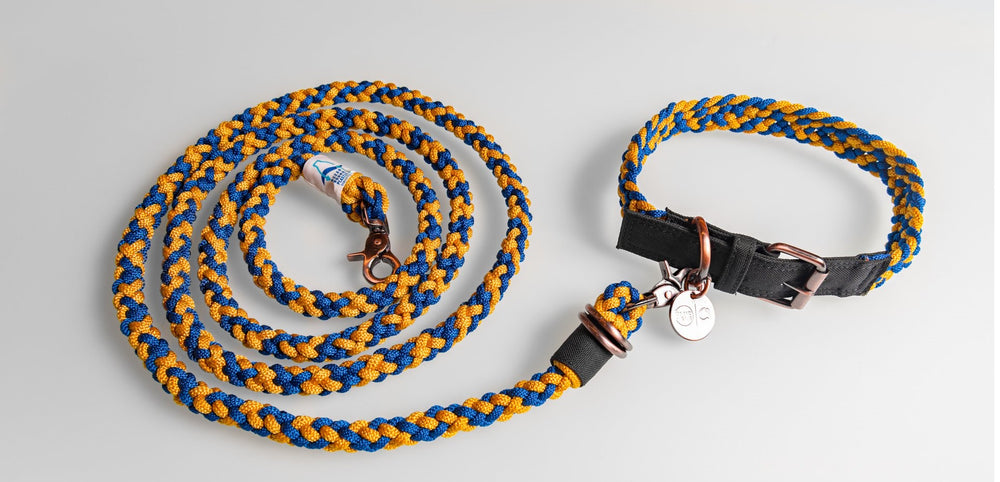 
                  
                    100% Fairtrade Recycled Ocean Bound Plastic Dog Leash by The Better Bone Natural Dog Bone
                  
                