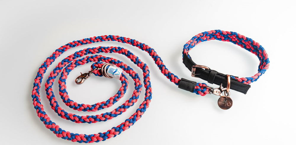 
                  
                    100% Fairtrade Recycled Ocean Bound Plastic Dog Leash by The Better Bone Natural Dog Bone
                  
                
