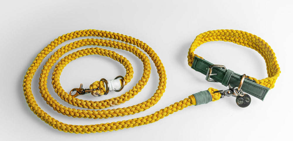 
                  
                    100% Fairtrade Recycled Ocean Bound Plastic Dog Leash by The Better Bone Natural Dog Bone
                  
                