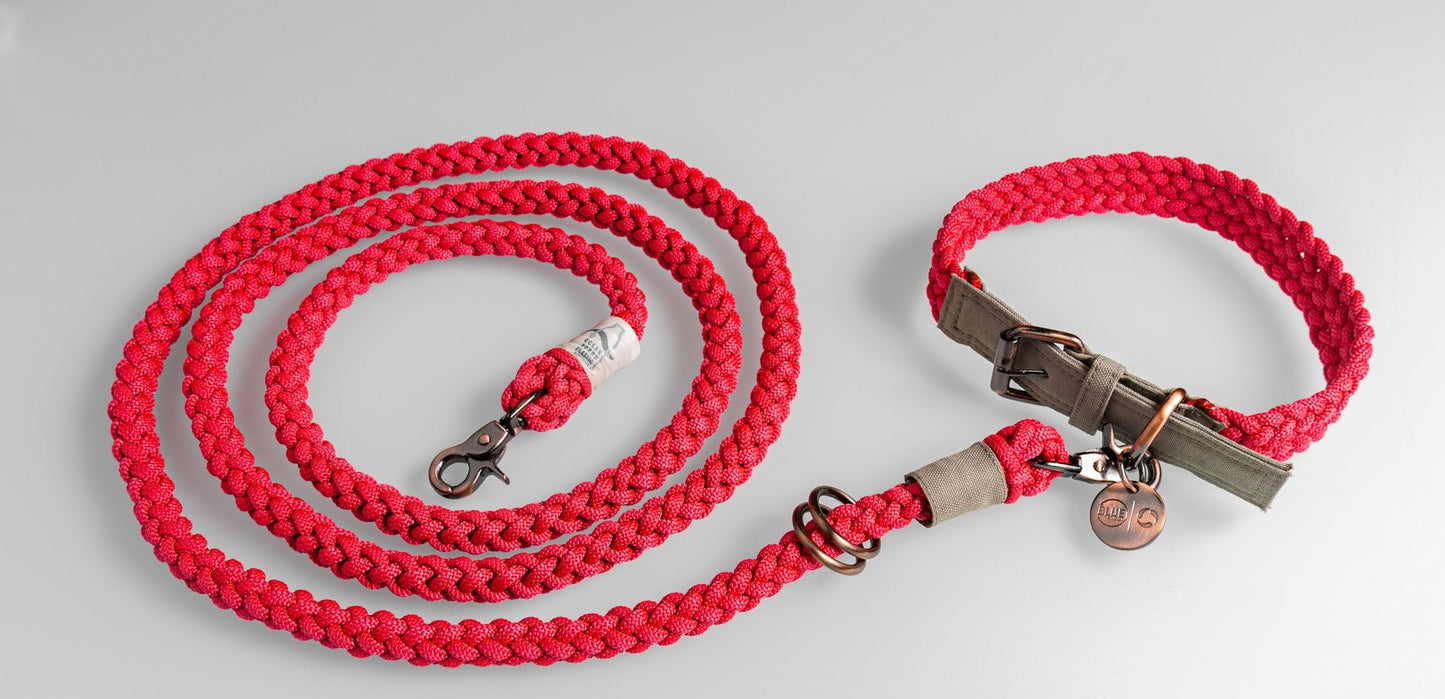 
                  
                    BetterCollar - 100% Fairtrade Recycled Ocean Bound Plastic Dog Collar by The Better Bone Natural Dog Bone
                  
                