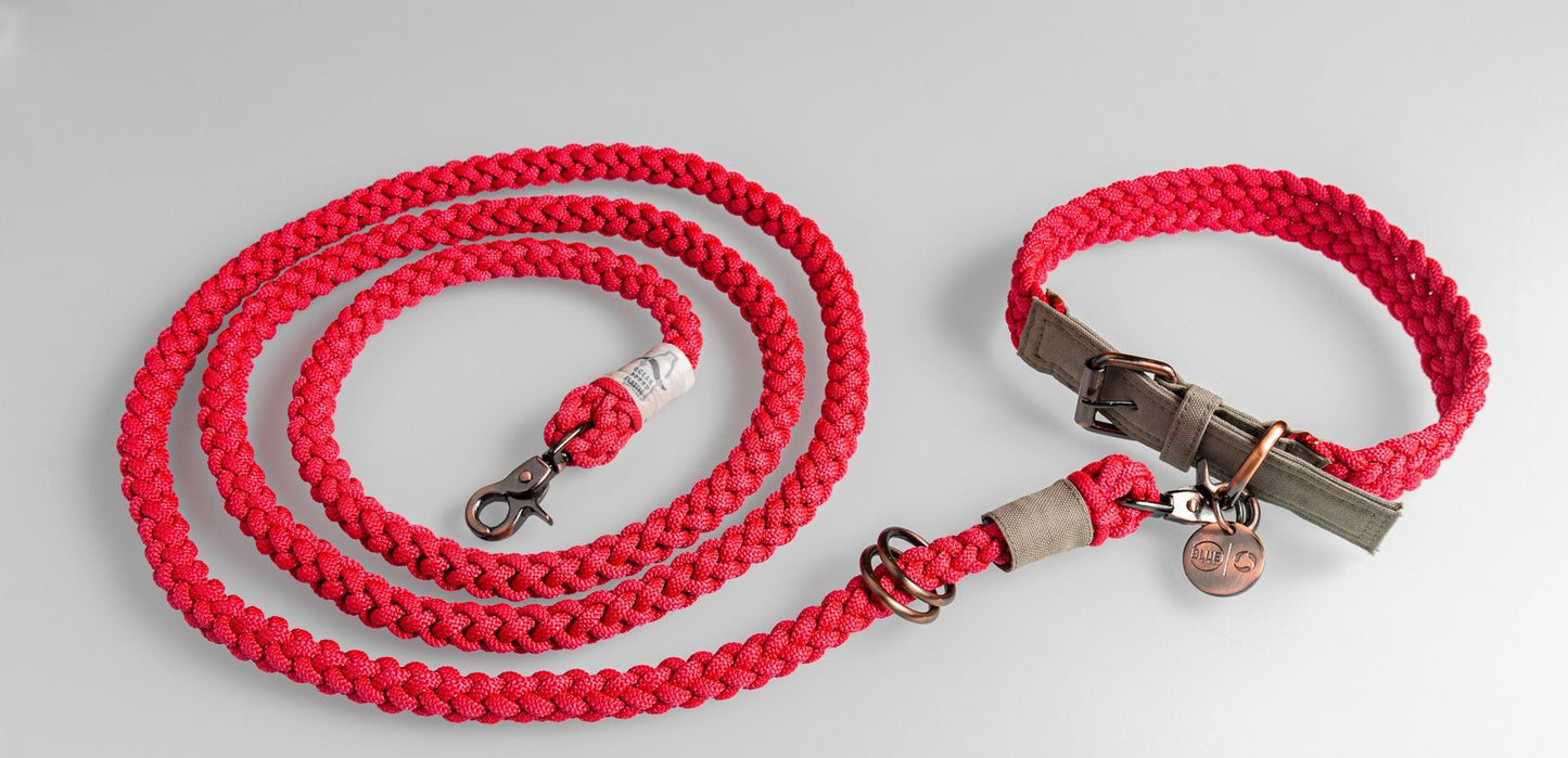 
                  
                    100% Fairtrade Recycled Ocean Bound Plastic Dog Leash by The Better Bone Natural Dog Bone
                  
                