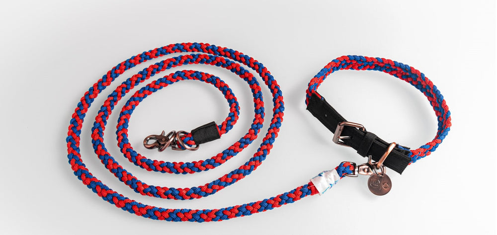 
                  
                    BetterCollar - 100% Fairtrade Recycled Ocean Bound Plastic Dog Collar by The Better Bone Natural Dog Bone
                  
                