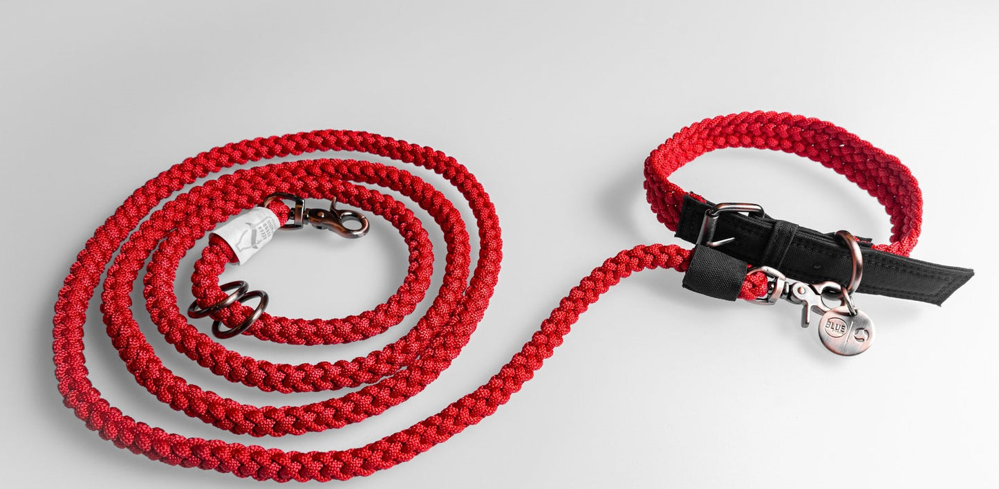 
                  
                    BetterCollar - 100% Fairtrade Recycled Ocean Bound Plastic Dog Collar by The Better Bone Natural Dog Bone
                  
                