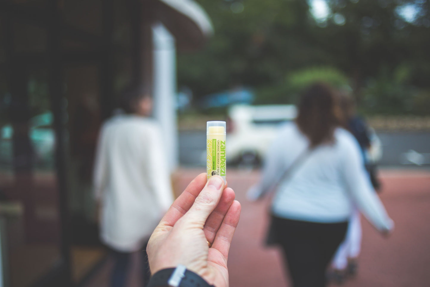 
                  
                    Lemongrass Lip Balm (3 Pack)
                  
                