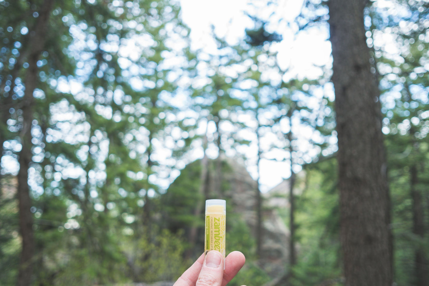 
                  
                    Lemongrass Lip Balm (3 Pack)
                  
                