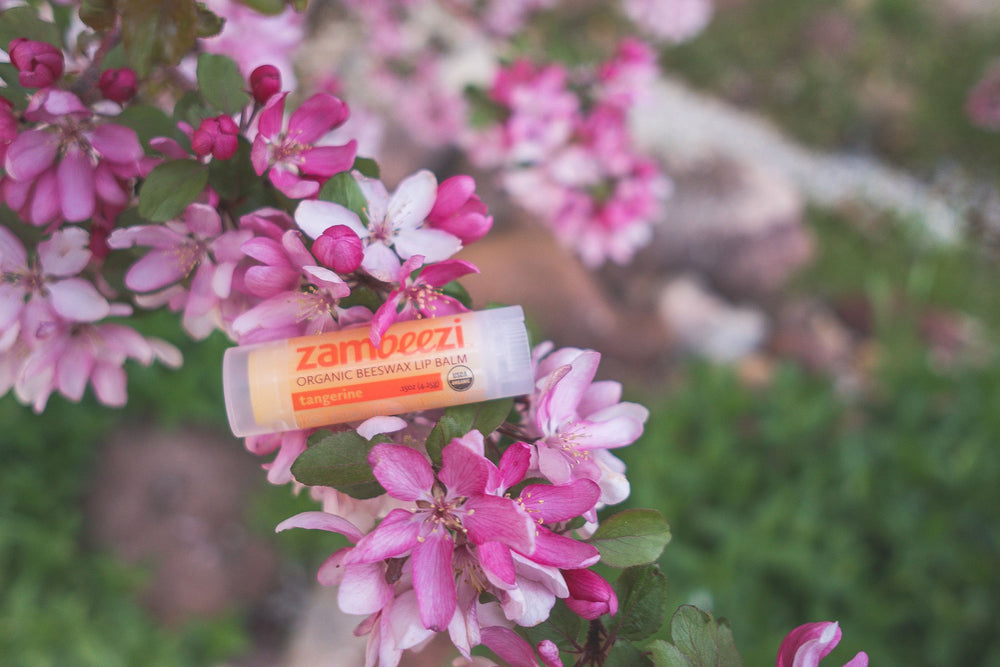 
                  
                    Tangerine Lip Balm Carton
                  
                