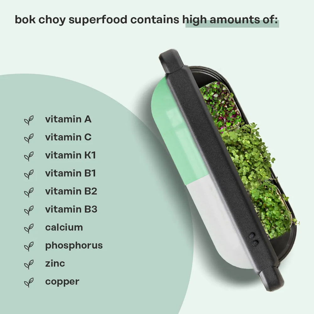
                  
                    bok choy superfood by ingarden
                  
                