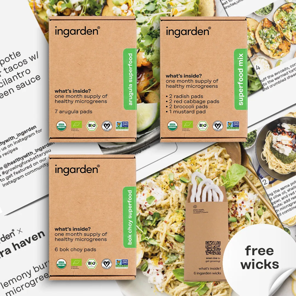 energy booster trio pack + 3 recipe cards by ingarden