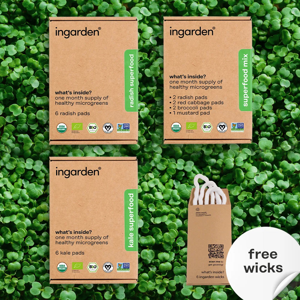 immunity booster trio pack by ingarden