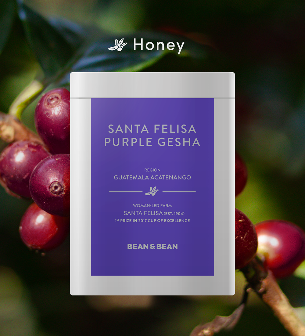 Santa Felisa Gesha Honey by Bean & Bean Coffee Roasters