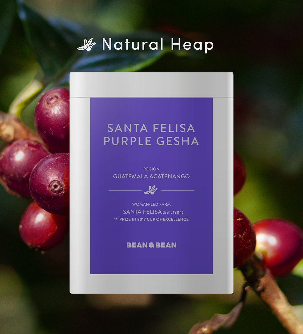 Santa Felisa Gesha Natural Heap by Bean & Bean Coffee Roasters