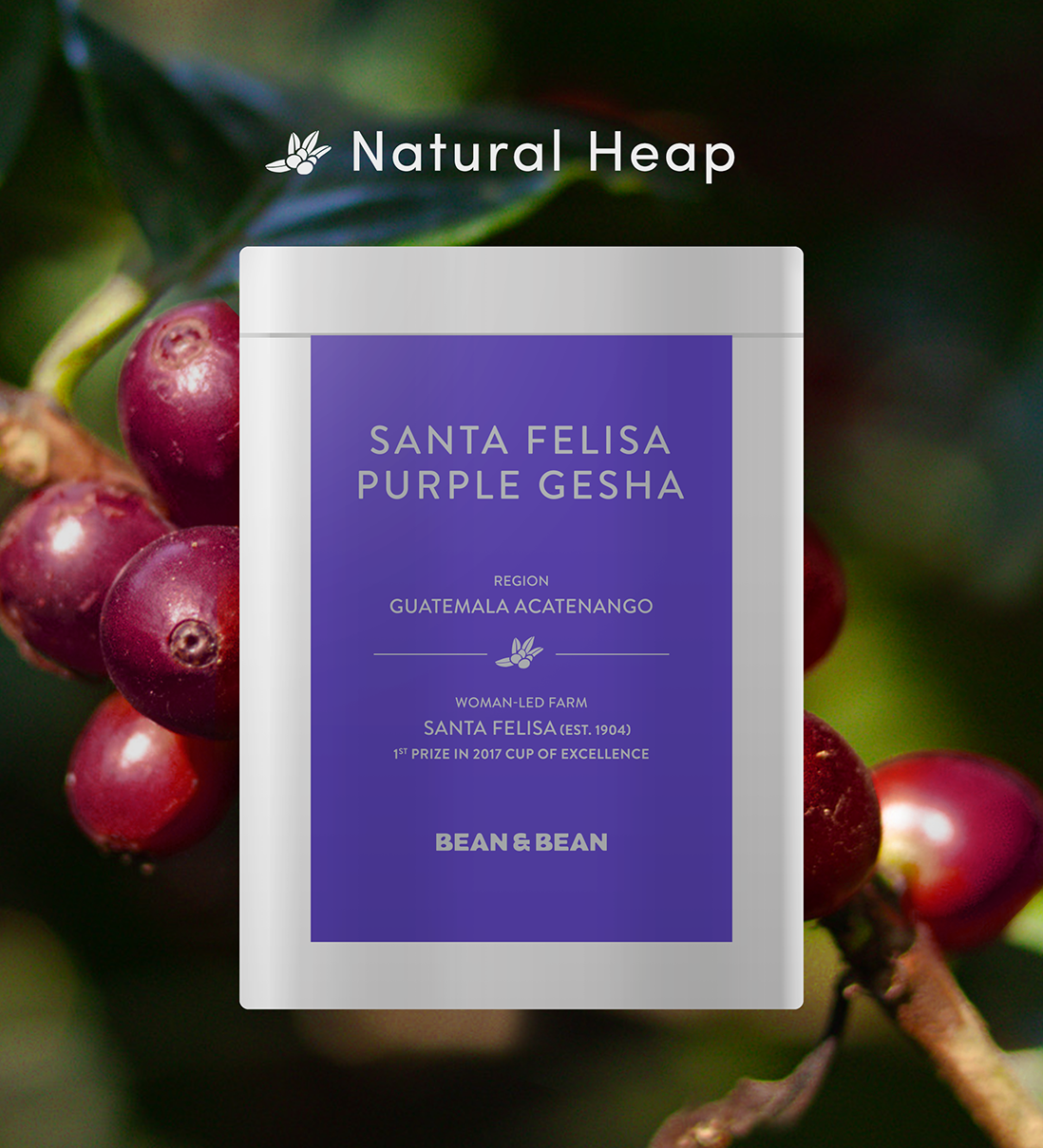 
                  
                    Santa Felisa Gesha Natural Heap by Bean & Bean Coffee Roasters
                  
                