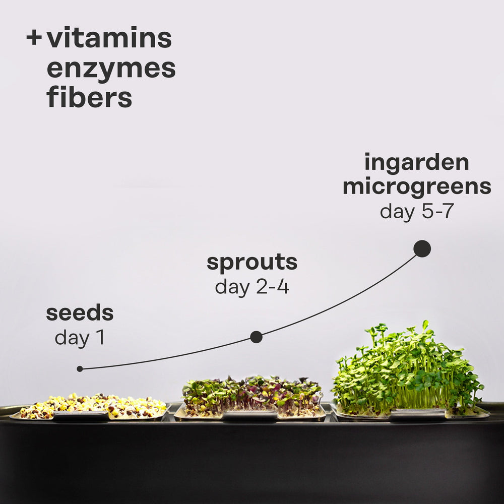 
                  
                    radish mix superfood by ingarden
                  
                