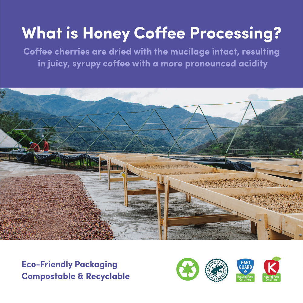 
                  
                    Costa Rica Honey Duo by Bean & Bean Coffee Roasters
                  
                
