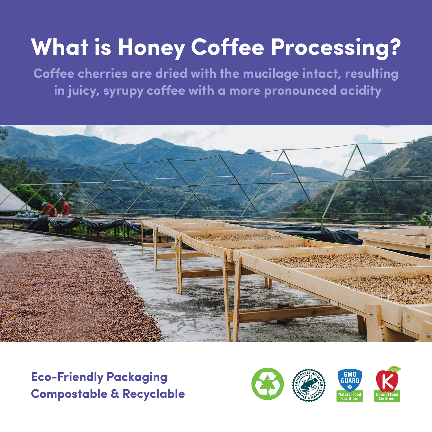
                  
                    Costa Rica Honey Duo by Bean & Bean Coffee Roasters
                  
                