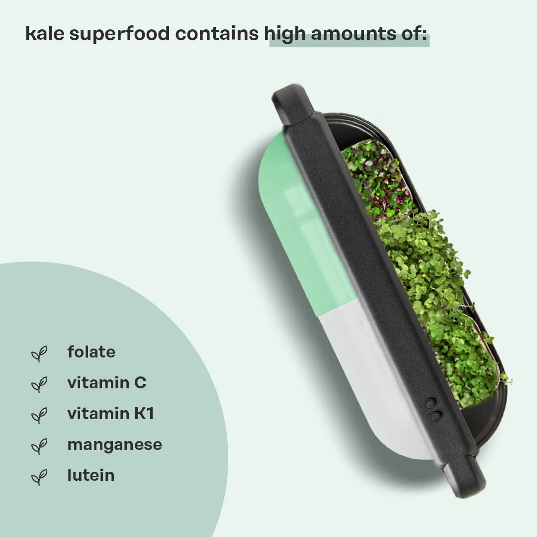 
                  
                    kale superfood by ingarden
                  
                