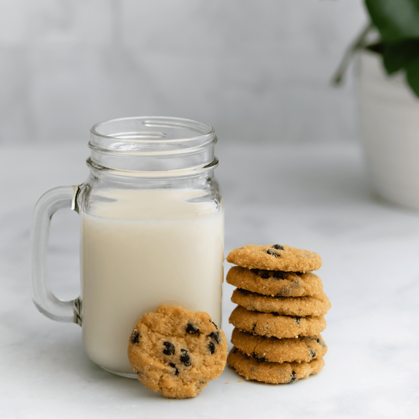 
                  
                    Chocolate Chip Cookies (Low Carb, No Sugar Added, Gluten Free) by Nunbelievable
                  
                
