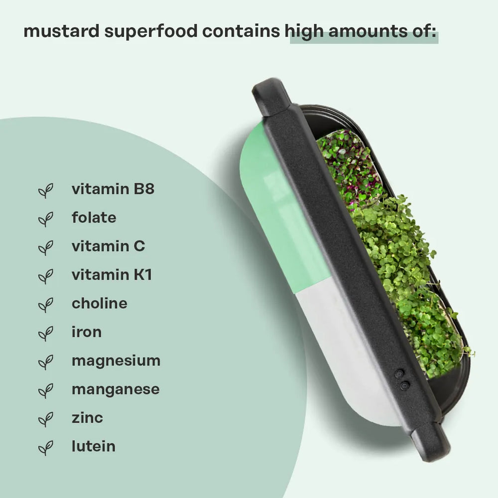 
                  
                    superfood mix by ingarden
                  
                