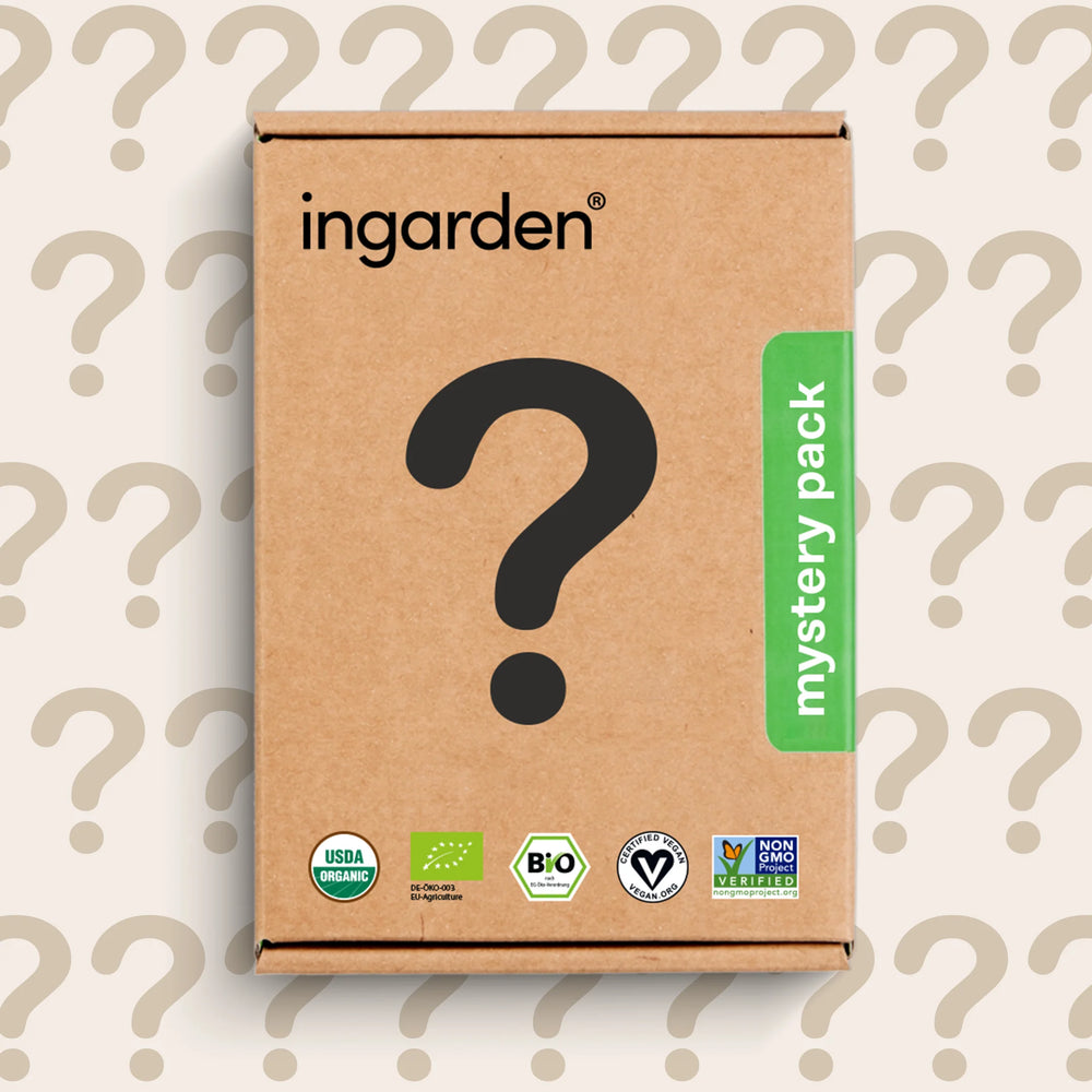 mystery superfood by ingarden