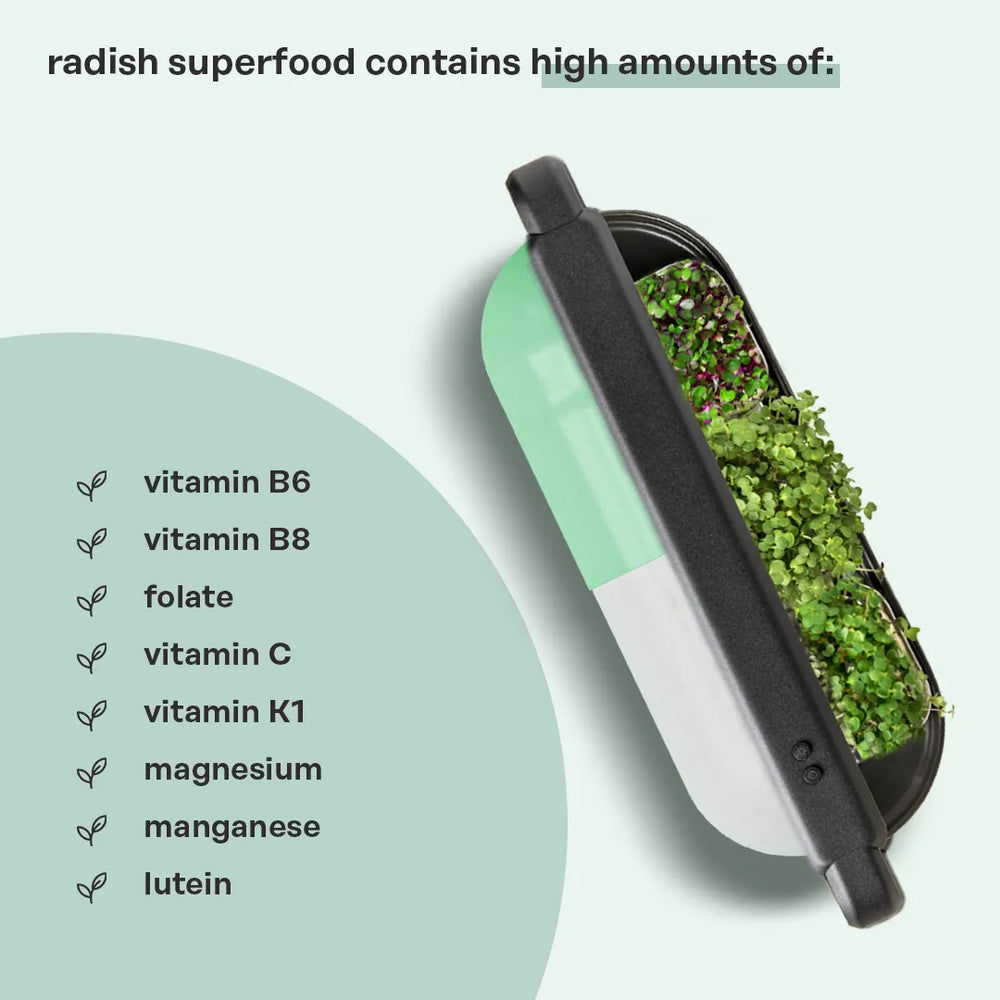 
                  
                    radish mix superfood by ingarden
                  
                