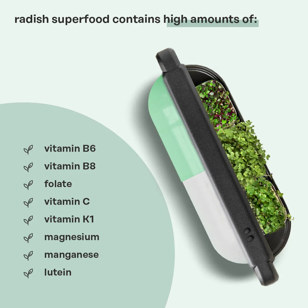 
                  
                    superfood mix by ingarden
                  
                