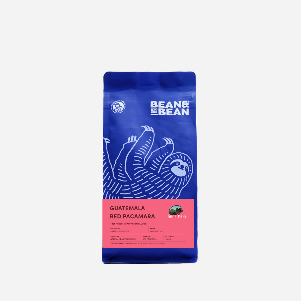Guatemala Santa Felisa Red Pacamara Natural by Bean & Bean Coffee Roasters