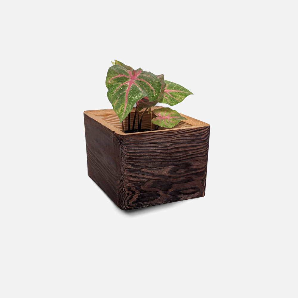 
                  
                    Diamond Self-Watering, Wall-Mounted Planter by Formr
                  
                