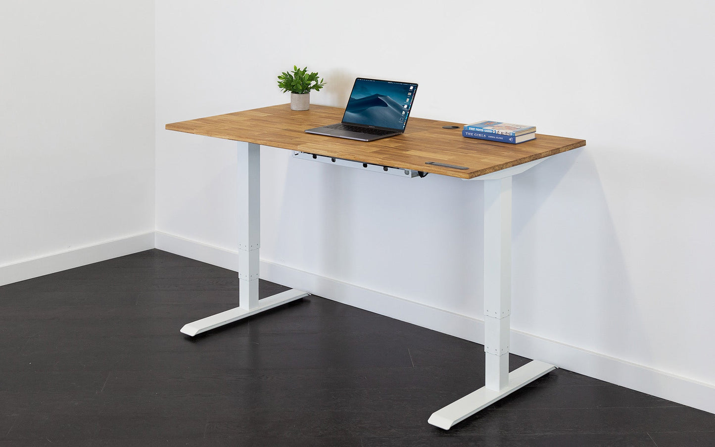 
                  
                    TerraDesk | Eco-Friendly Height-Adjustable Electric Standing Desk by EFFYDESK
                  
                