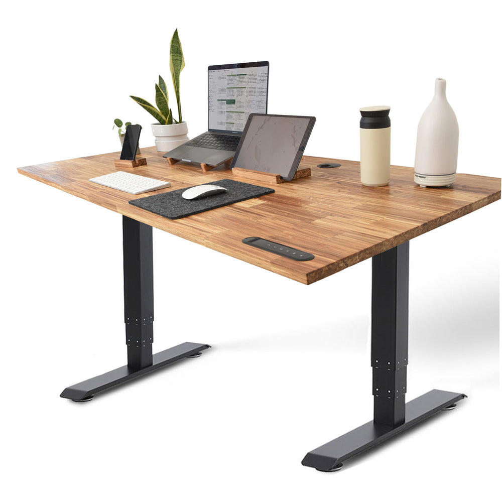 
                  
                    TerraDesk | Eco-Friendly Height-Adjustable Electric Standing Desk by EFFYDESK
                  
                