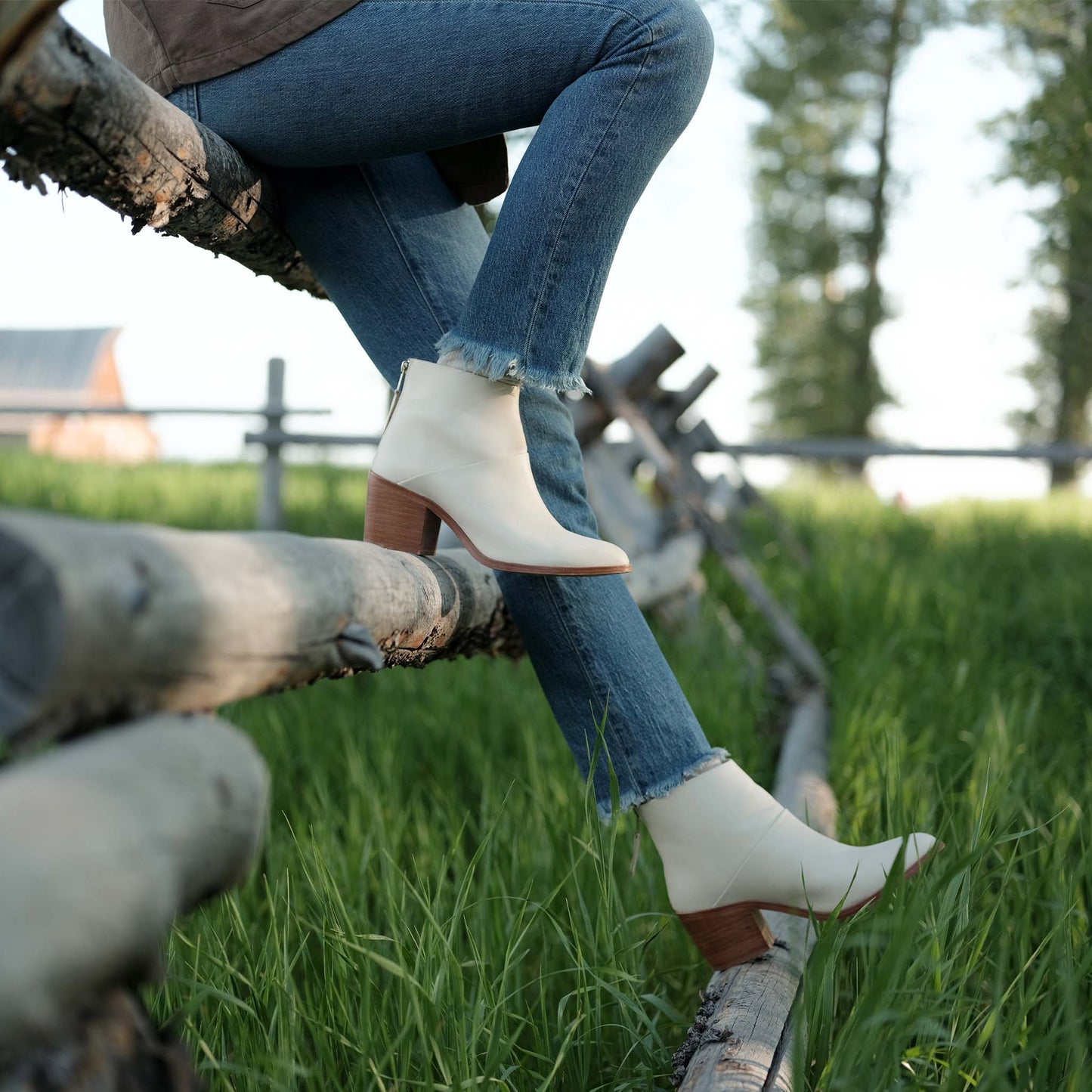 
                  
                    Dari Boot Bone
                  
                