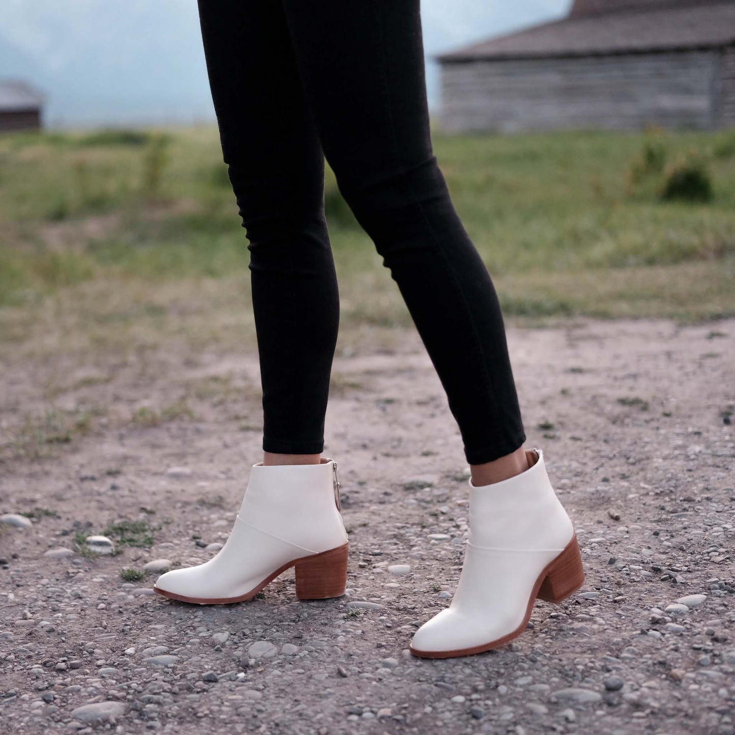 
                  
                    Dari Boot Bone
                  
                